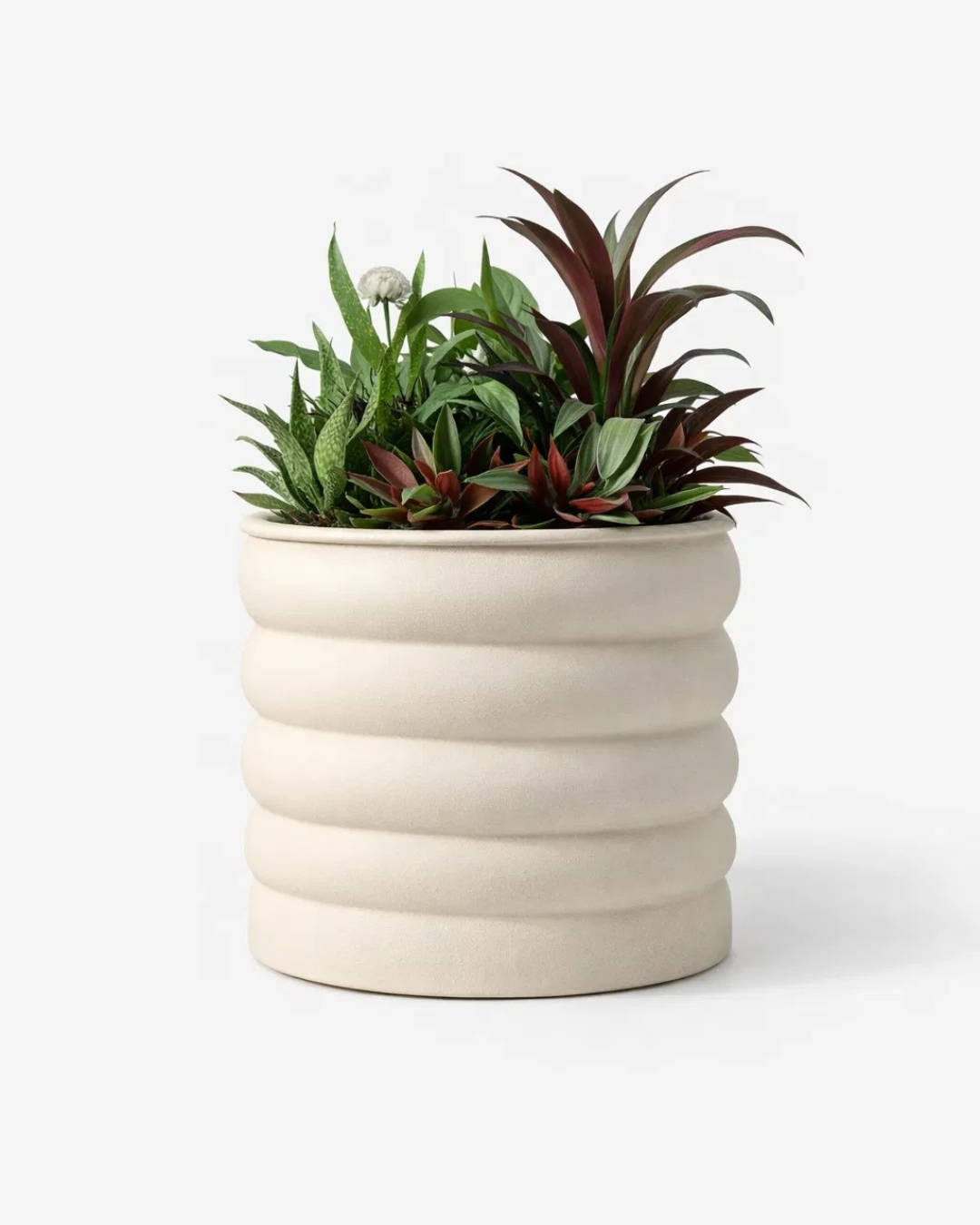 Design Exclusivo