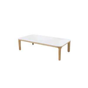 Aspect coffee table, 120x60 cm