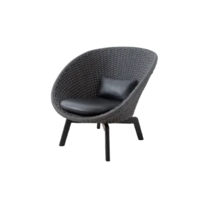 Peacock lounge chair, Indoor